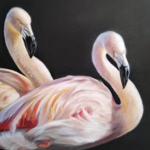 Животные и птицы